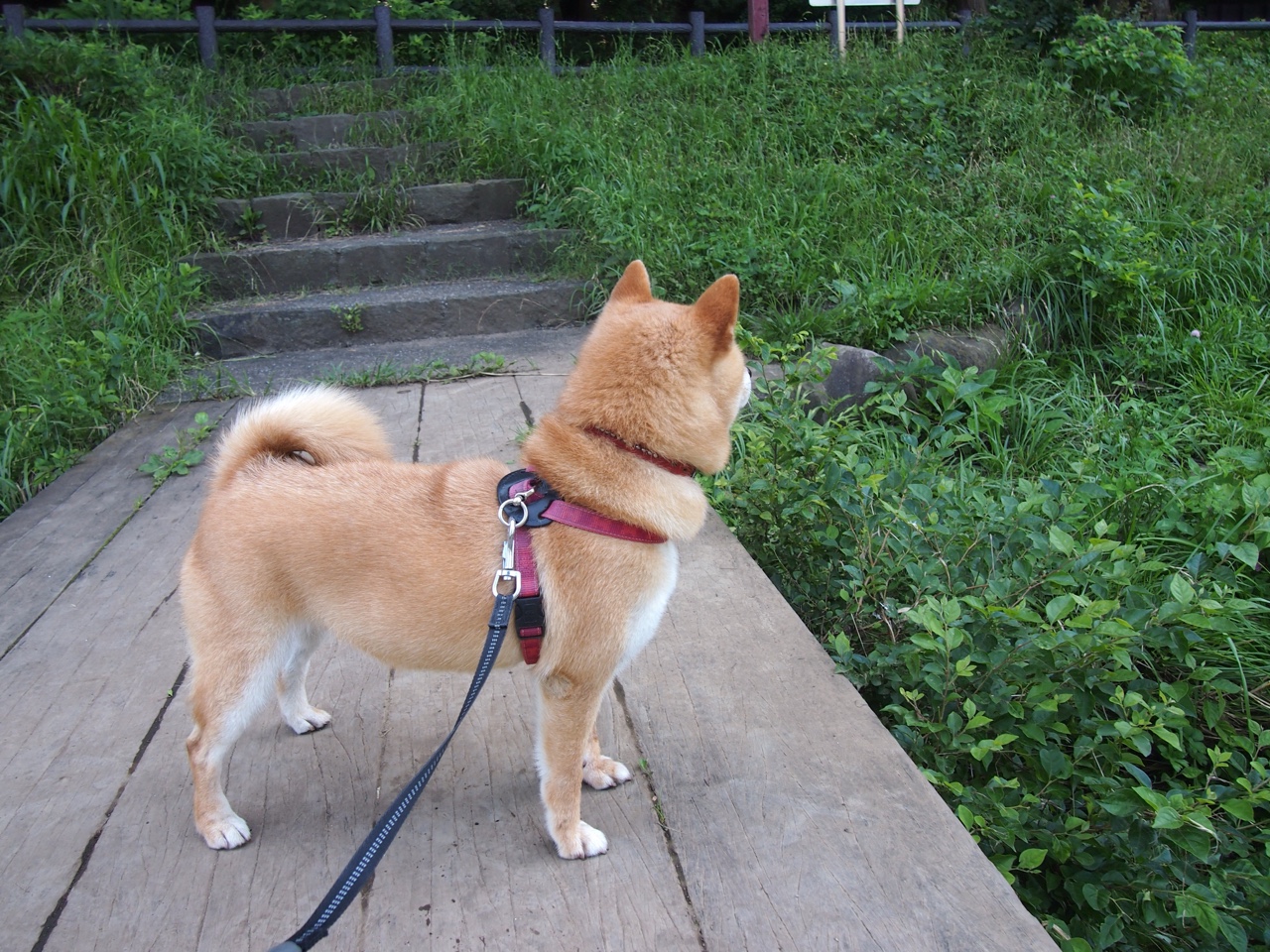 惊天逆转！智利力克尼斯，奥纳纳封神一战征服全场