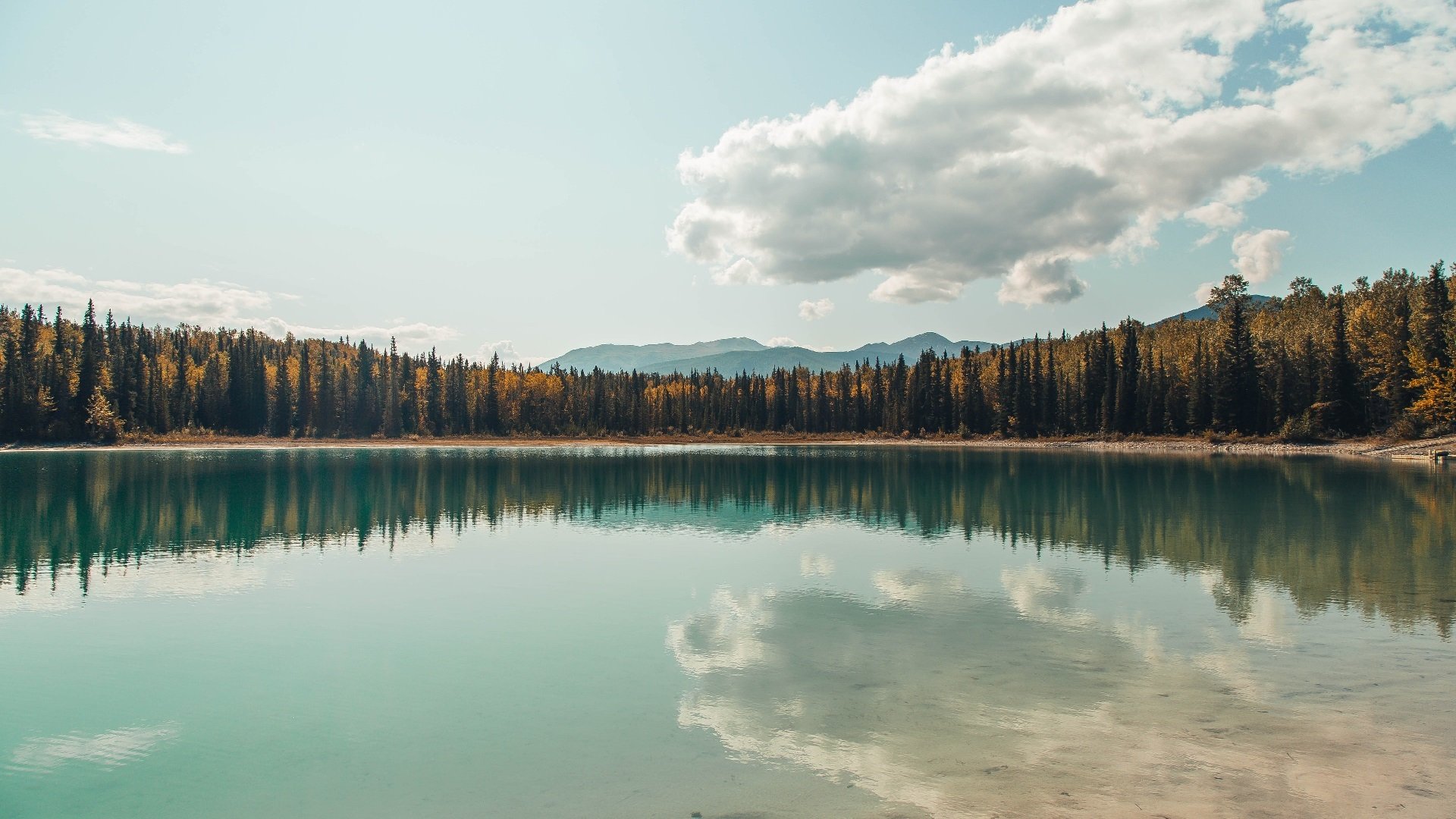 杰伦格林节奏大师，独行侠对阵猛龙的战术革命与团队升华
