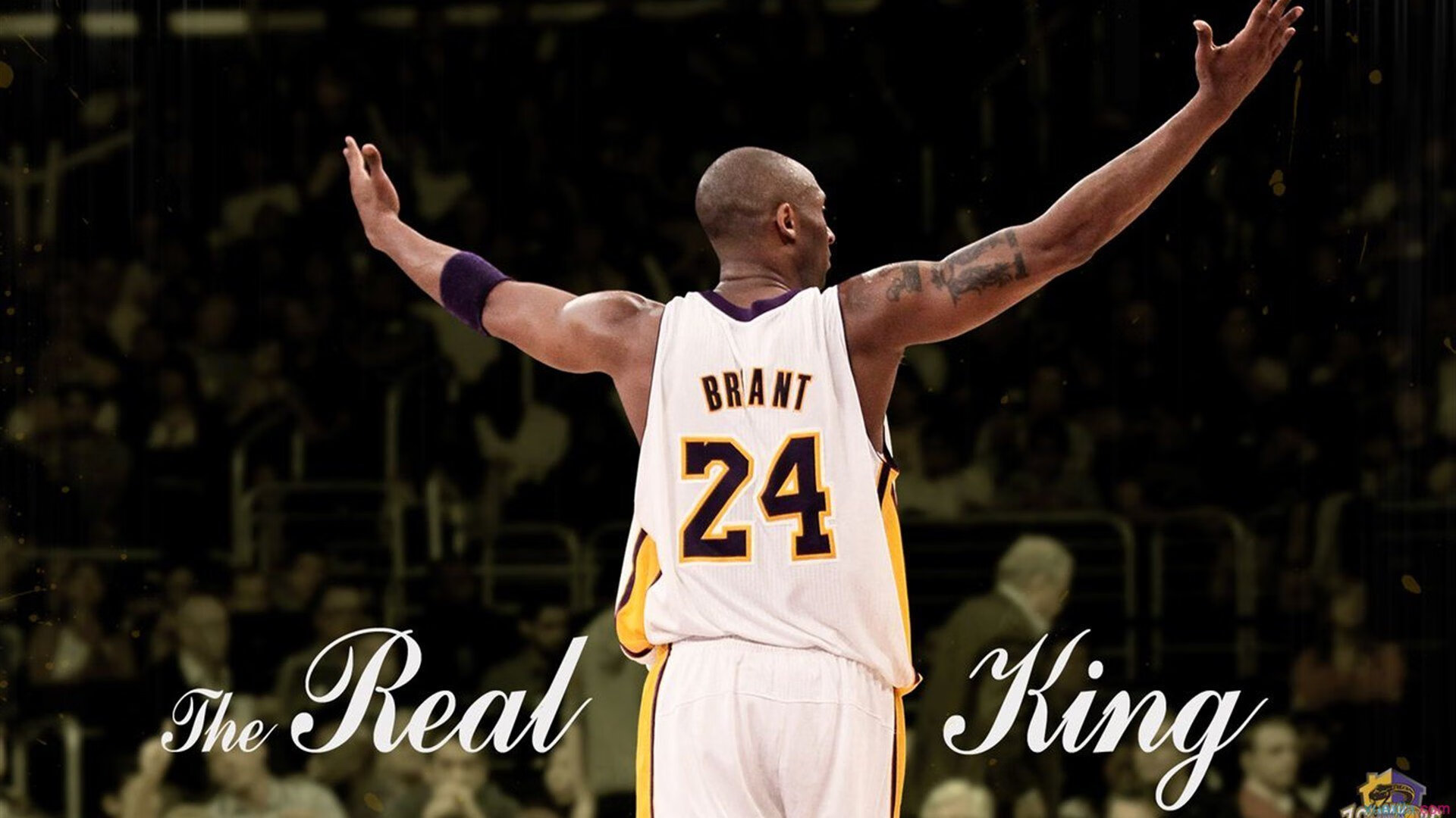 土耳其惊魂夜与F1巅峰时刻，竞技体育的双面狂想曲